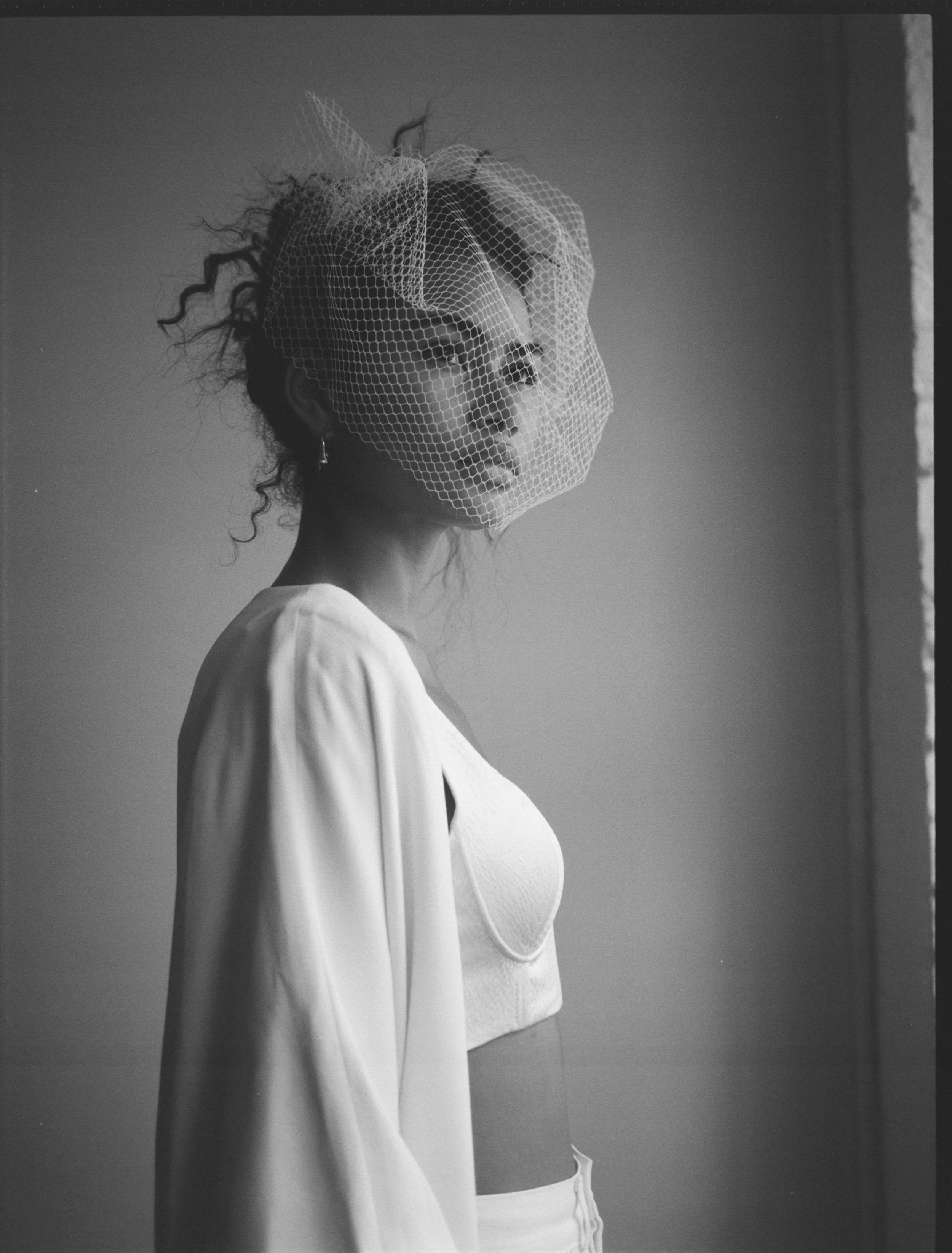 Cloud Birdcage Veil