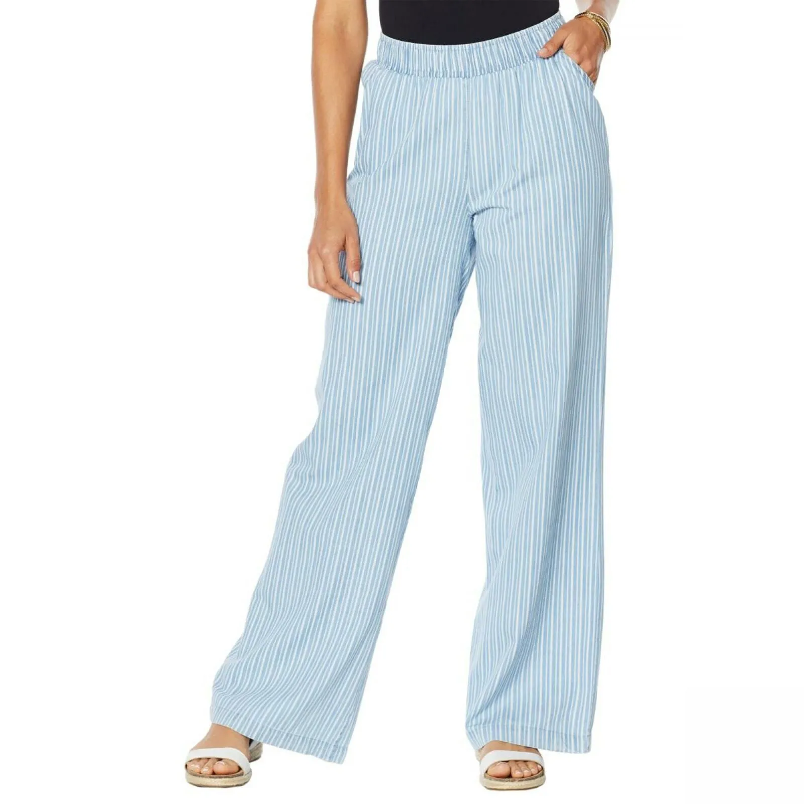 DG2 by Diane Gilman SoftCell Wide Leg Pants Chambray Stripe Plus 1X Tall