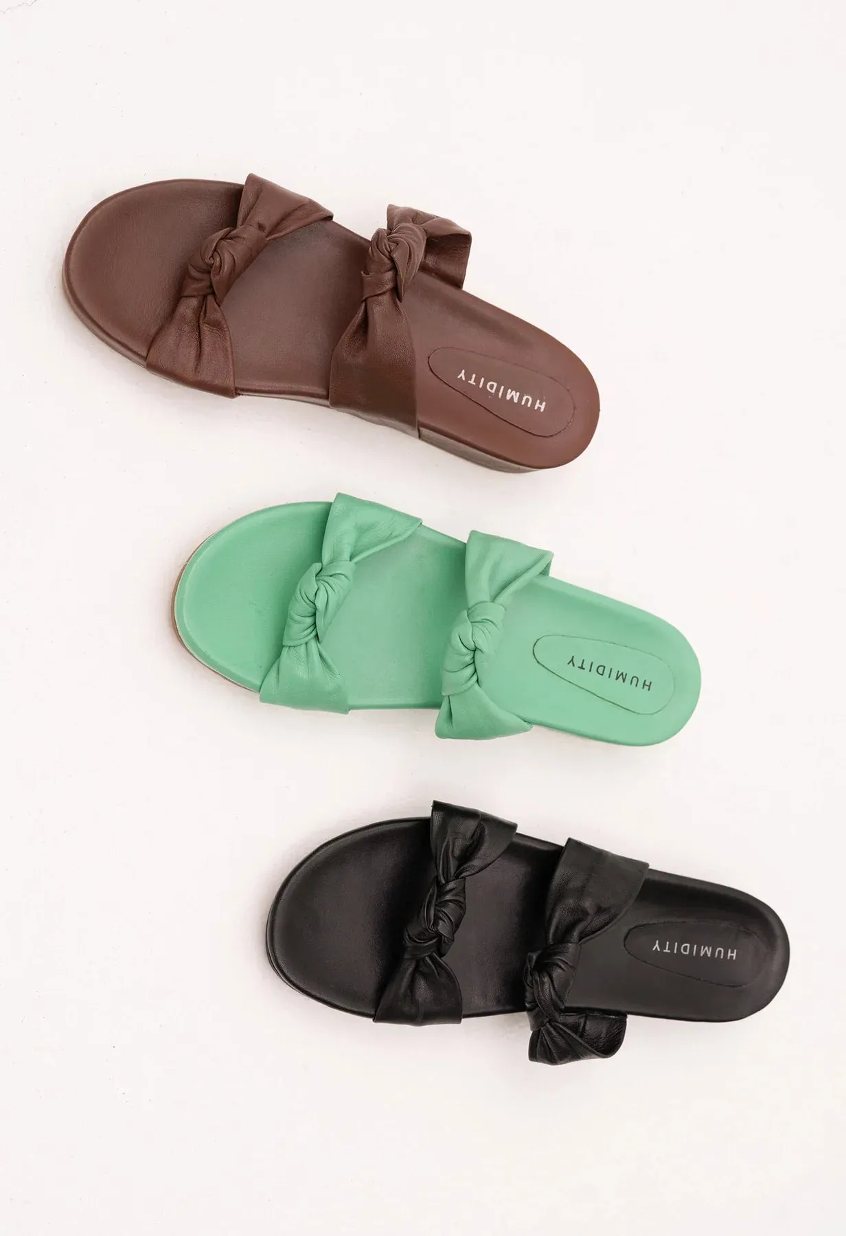 Lulu slide (HAS38)