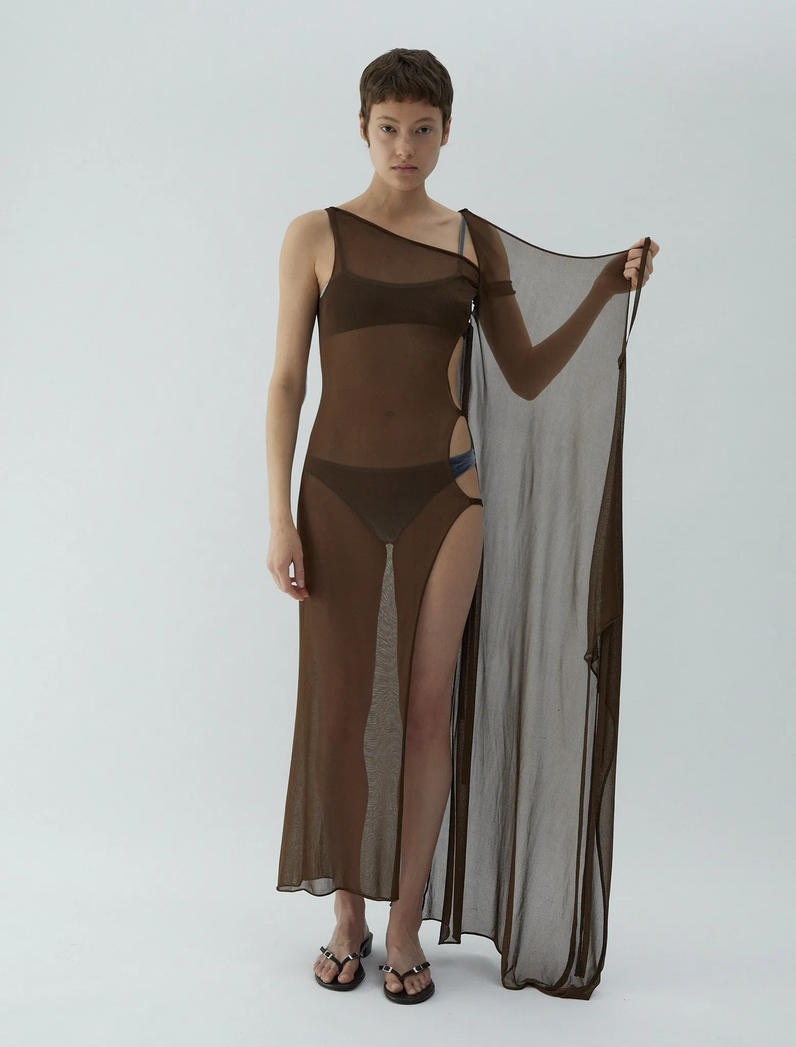 no 2496 / Hedda