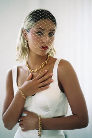Pollina Birdcage Veil