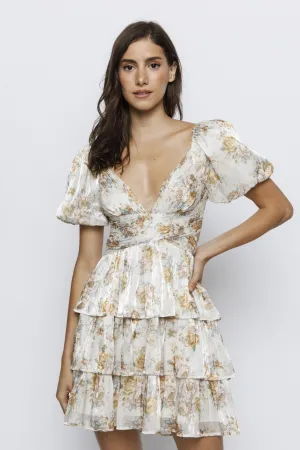 Rose and Leaves Print Romantic Mini DressLD2285A