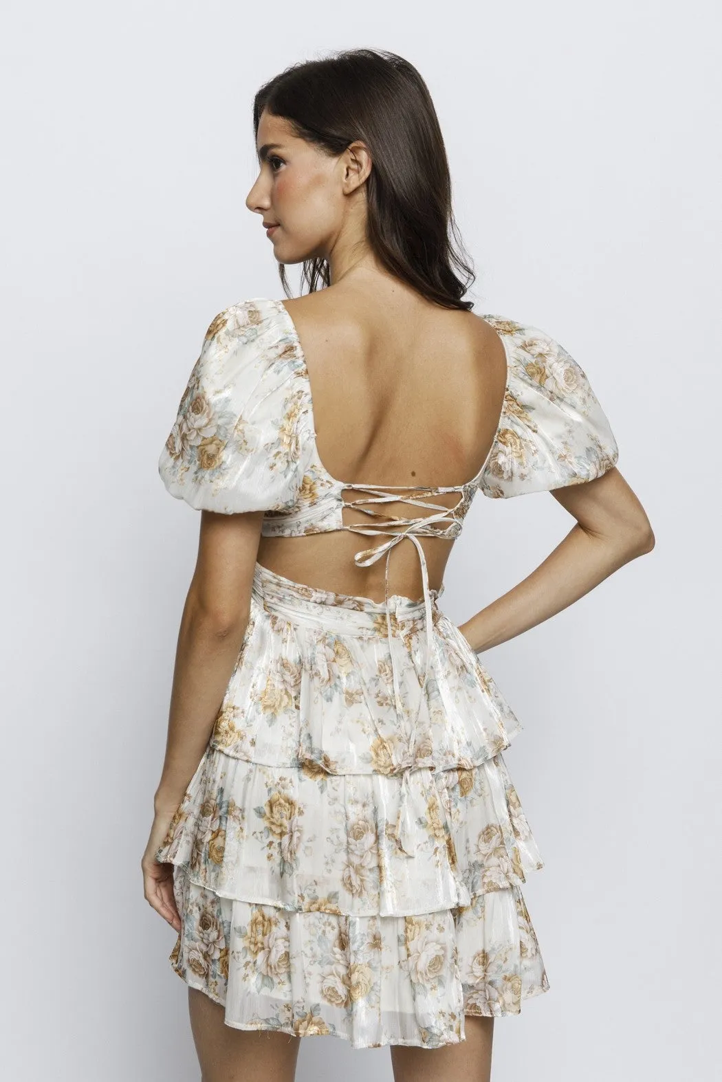 Rose and Leaves Print Romantic Mini DressLD2285A