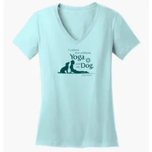 Yoga and My Dog Women's V-Neck Tee - 2XL - LT BLUE LBVNS
